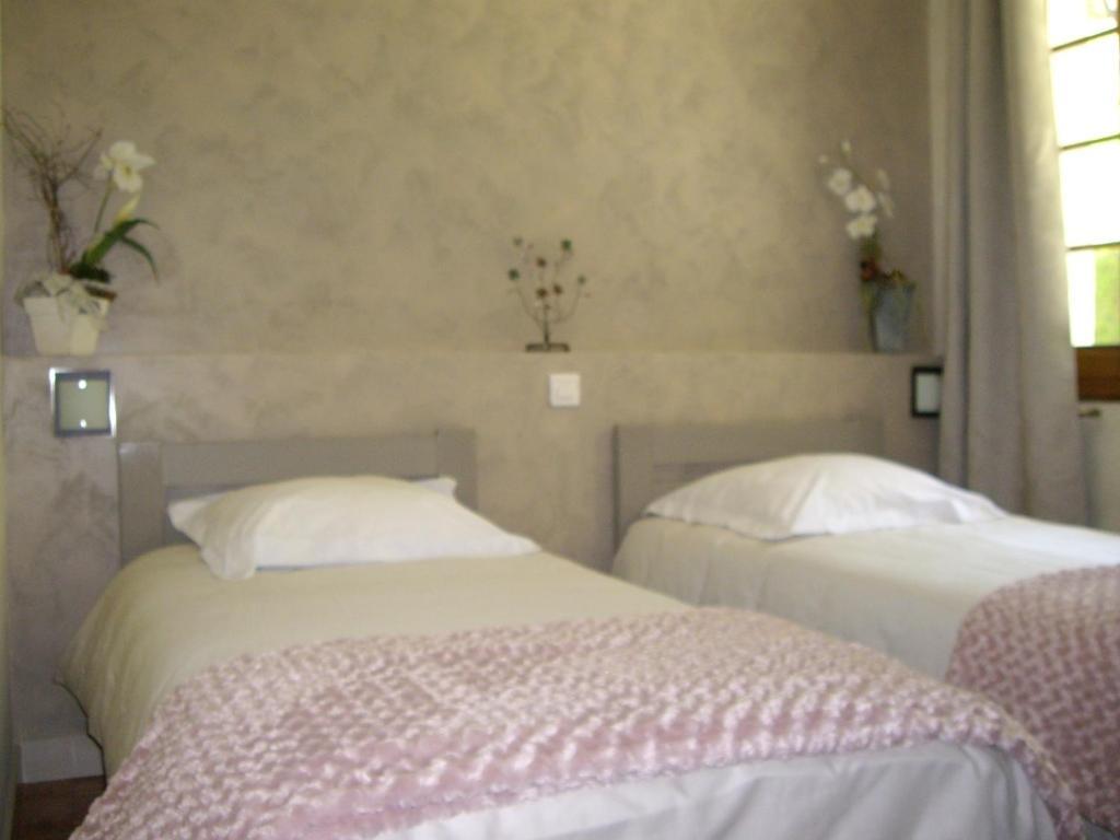 Chambres D'Hotes Les Pierres Taillees Thenesol Номер фото